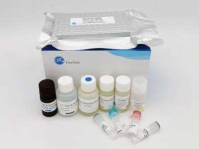 小鼠穿孔蛋白1(PRF1)酶联免疫吸附测定(elisa)试剂盒