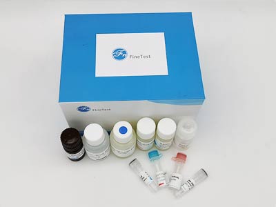 小鼠P物质受体(SP-R)酶联免疫吸附测定(elisa)试剂盒