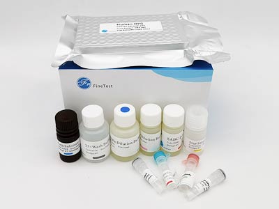 人骨成型蛋白2(BMP-2)酶联免疫(elisa)试剂盒