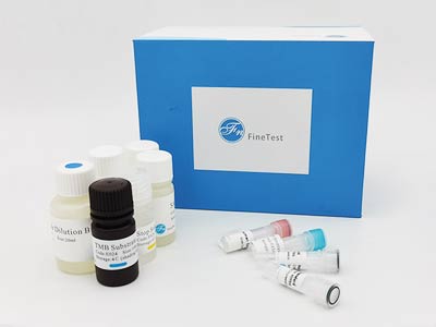 牛白血病抑制因子(LIF)酶联免疫吸附测定(elisa)试剂盒