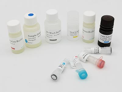 牛单核细胞趋化蛋白1(MCP-1)酶联免疫吸附测定(elisa)试剂盒