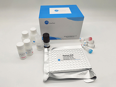 兔巨噬细胞炎性蛋白1β(MIP-1β)酶联免疫(elisa)试剂盒