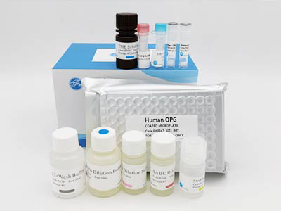 兔巨噬细胞移动抑制因子(MIF)酶联免疫(elisa)试剂盒