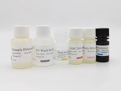 大鼠α烯醇化酶(α-enolase)酶联免疫吸附测定(elisa)试剂盒