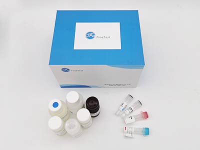 人白介素6受体α亚基(IL-6Rα)酶联免疫吸附测定(elisa)试剂盒