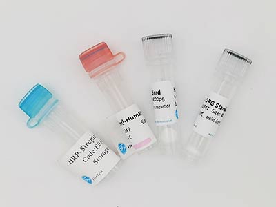 人肺表面活性物质相关蛋白D(SP-D)酶联免疫吸附测定(elisa)试剂盒