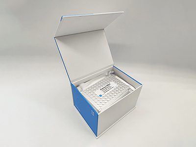 人再生胰岛衍生蛋白质3-γ(REG3γ)酶联免疫(elisa)试剂盒