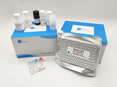 小鼠白介素1β(IL-1b)酶联免疫(elisa)试剂盒