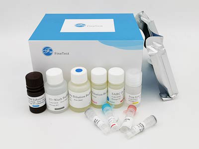 人I型胶原α1(COL1α1)酶联免疫(elisa)试剂盒