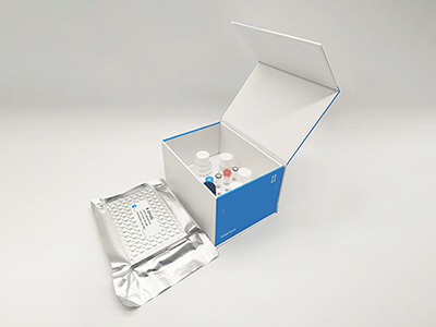 小鼠脱氧核糖核酸酶1(DNASE1)酶联免疫(elisa)试剂盒